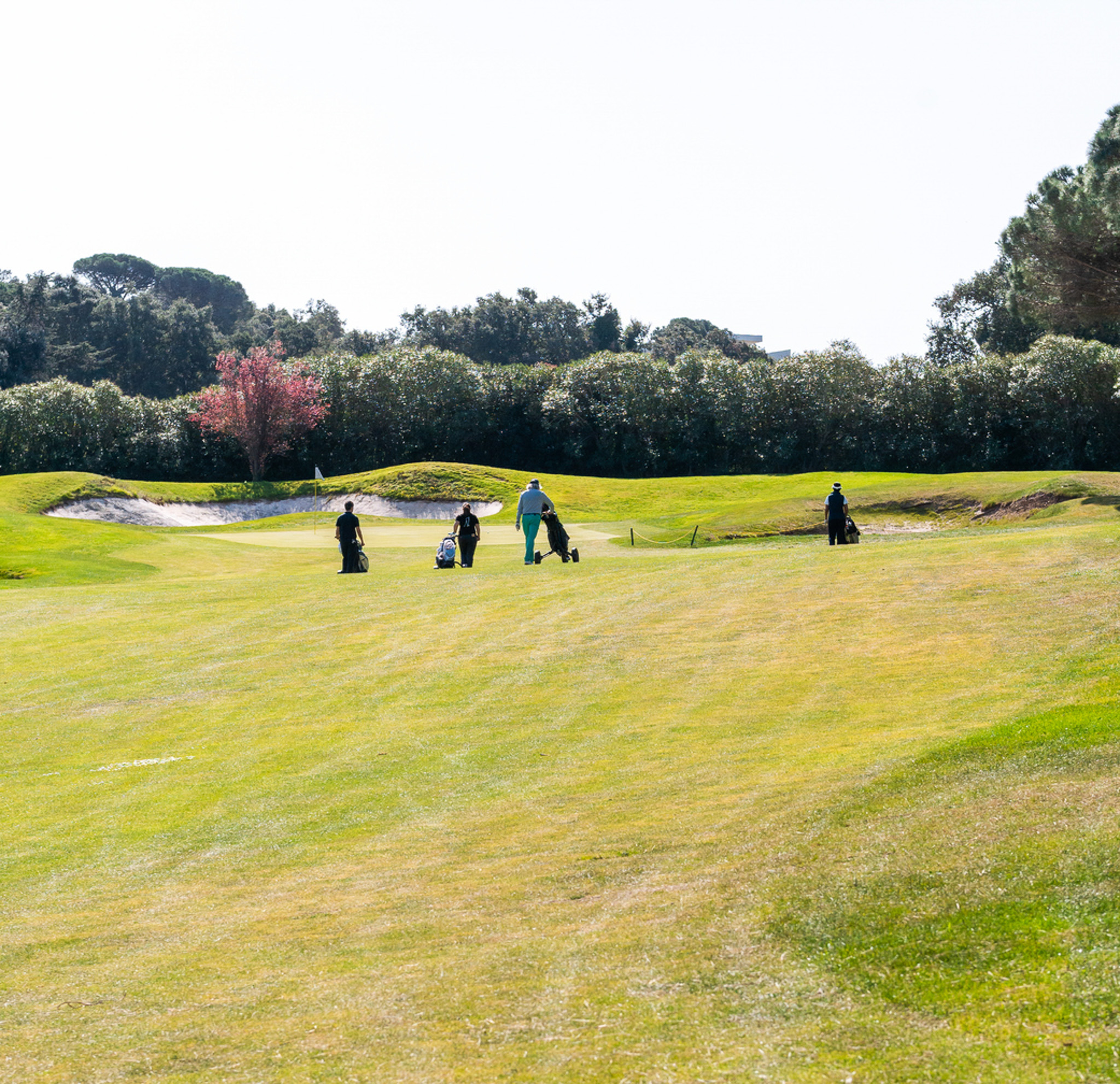 Golf Courses in Grimaud: Where Scenic Greens Meet Riviera Charm