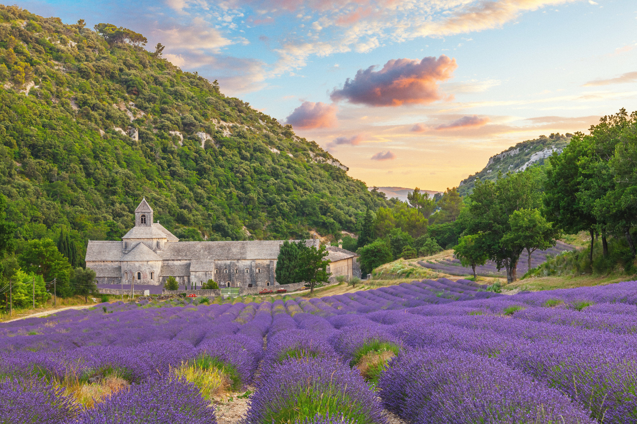 Everything You Need to Know About the Provence