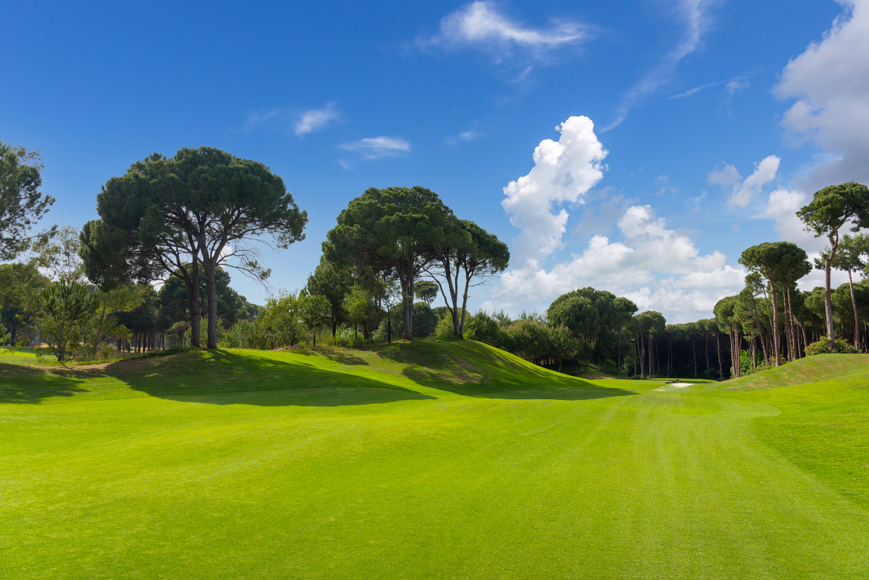 Best Golf Courses in Roquebrune-sur-Argens for an Unforgettable Round