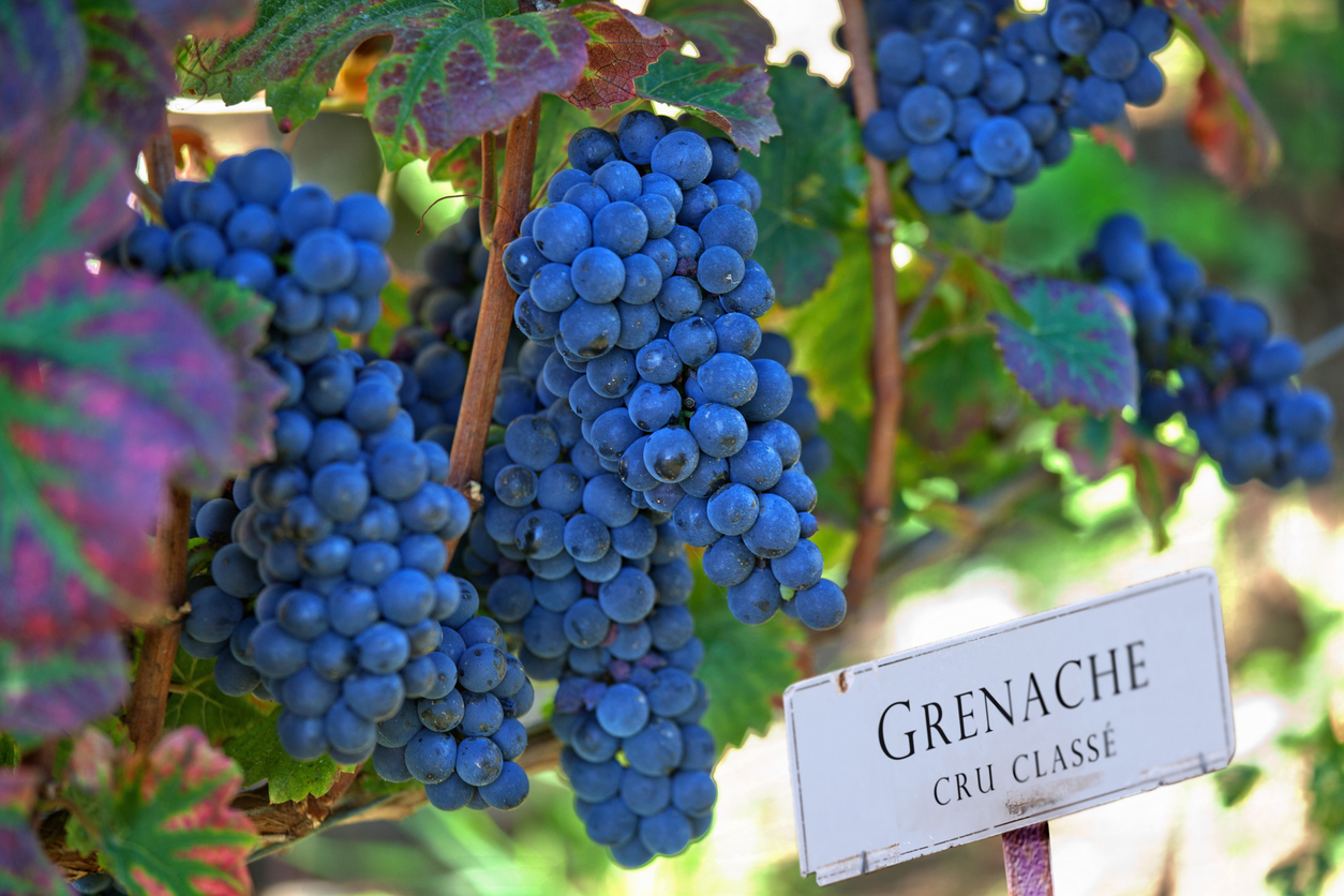 10 der besten Roséweine aus der Provence und der Côte d’Azur