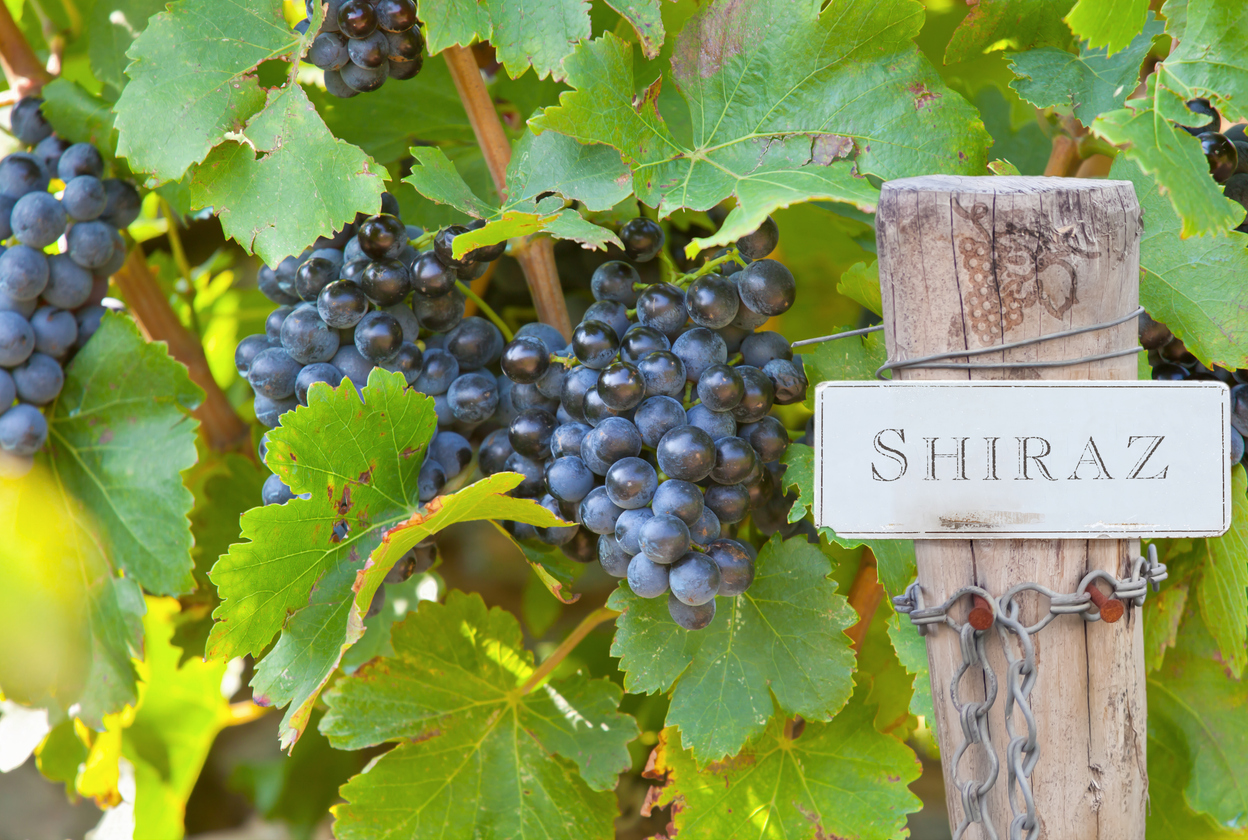 10 Best Red Wines from Provence and the Côte d’Azur