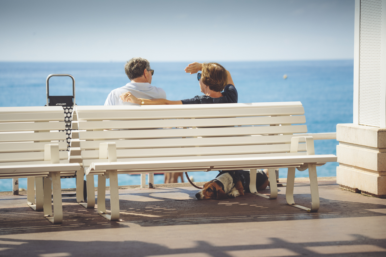 Bringing Pets to the Côte d’Azur: What Dog Owners Should Know
