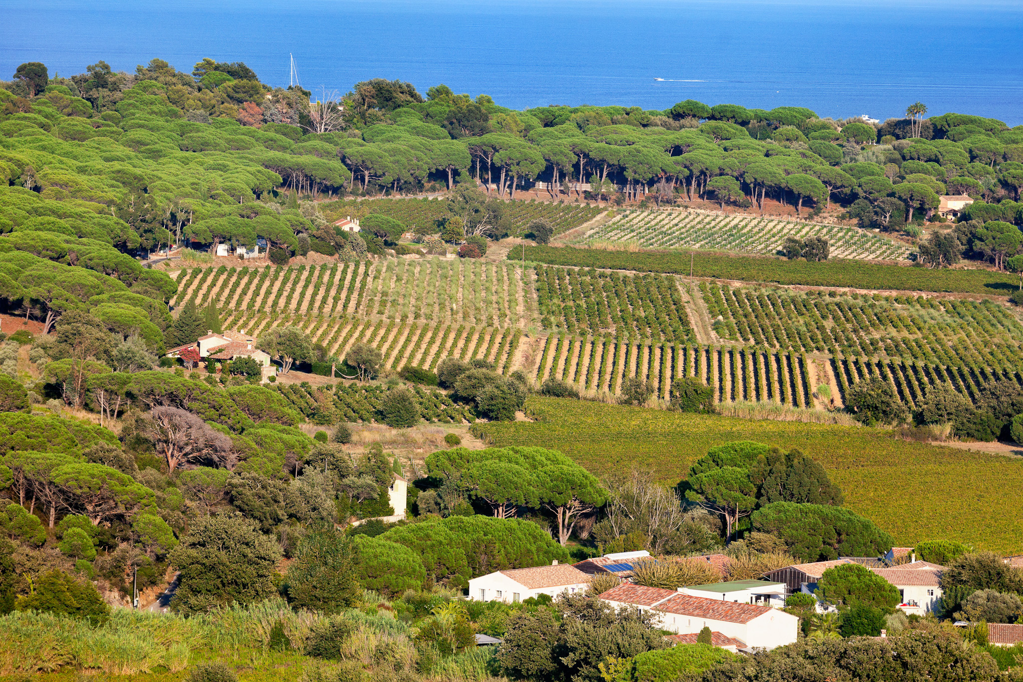 Wine Tasting in the South of France: 10 Top Wineries