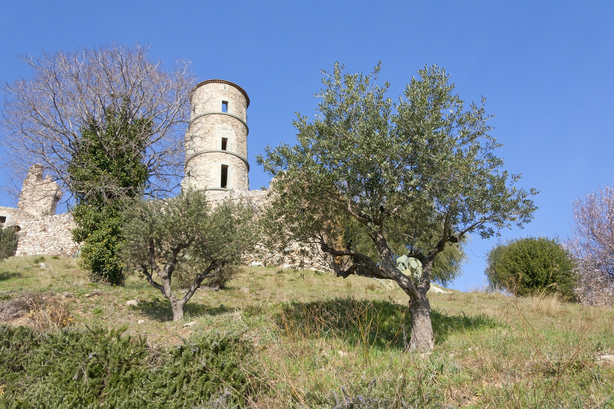 Randonnées entre littoral et collines au départ de Grimaud