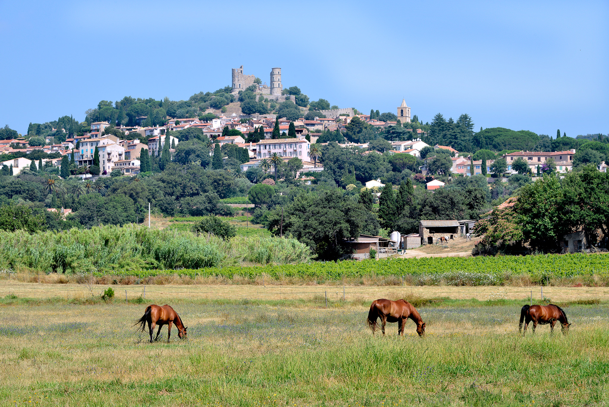 Grimaud and Its Castle: A Journey Through Time in Provence