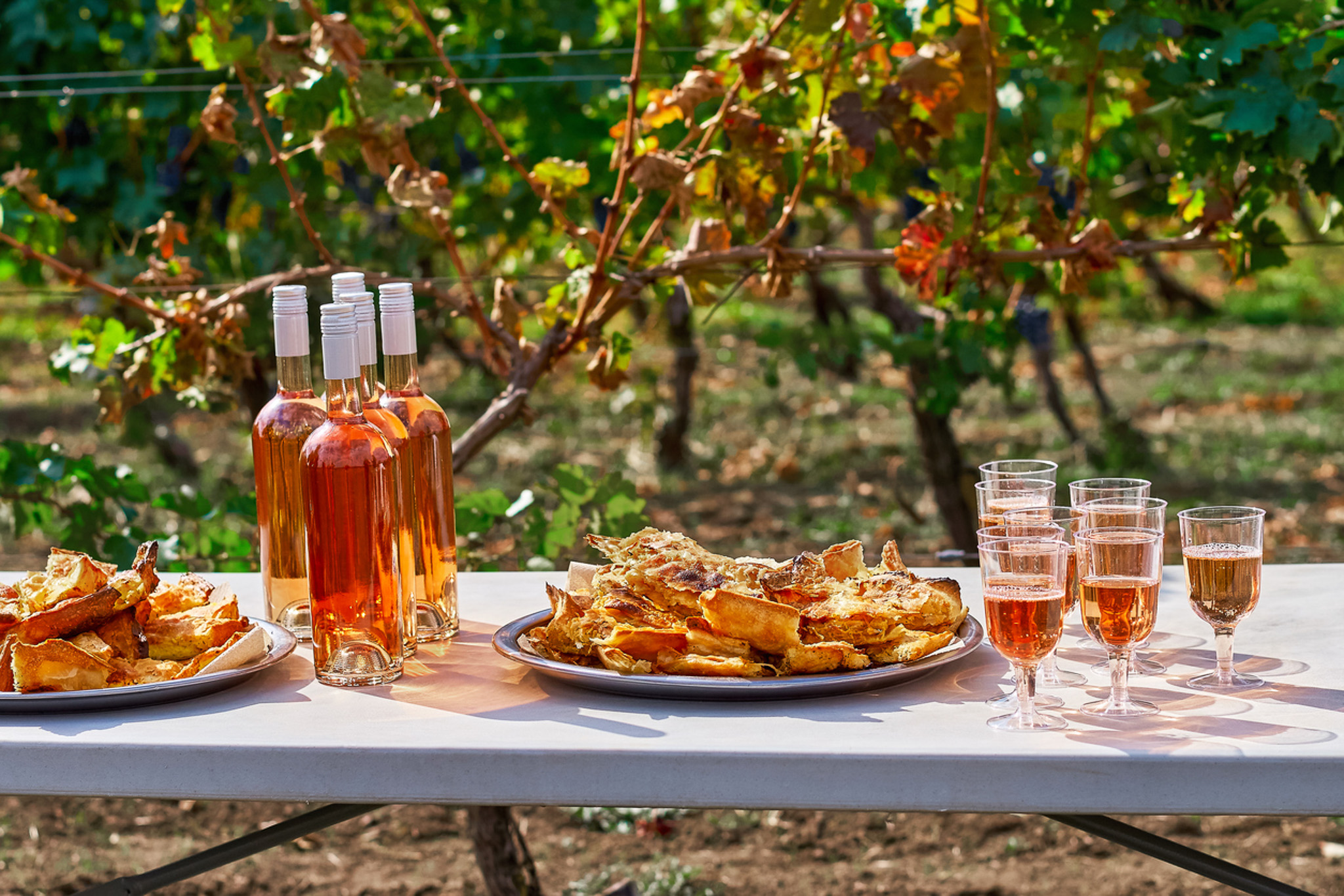 Rosé en Provence : succès et meilleurs domaines viticoles